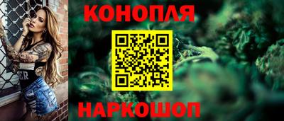 прущие грибы Канаш