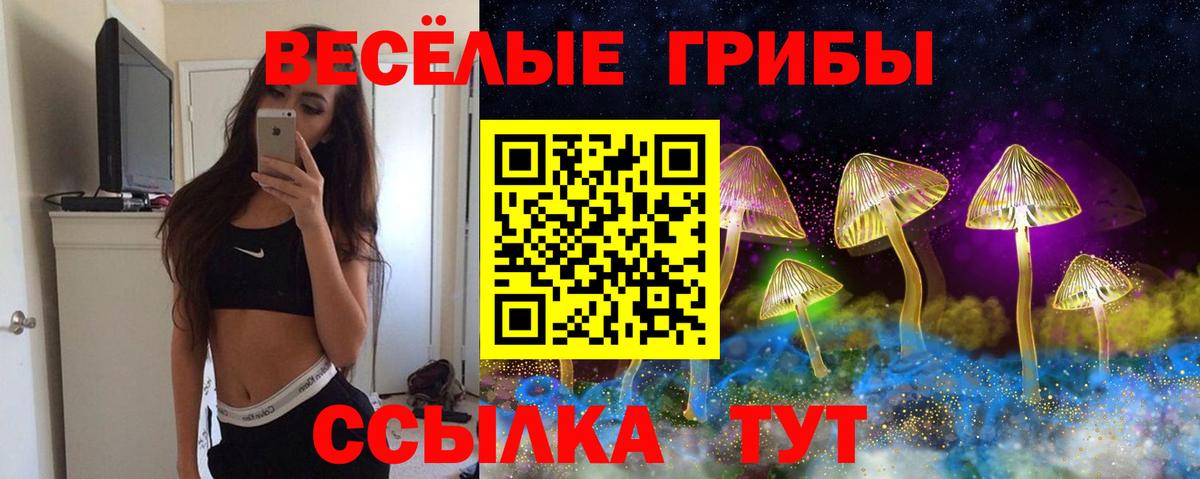 Псилоцибиновые грибы Psilocybine cubensis Кстово