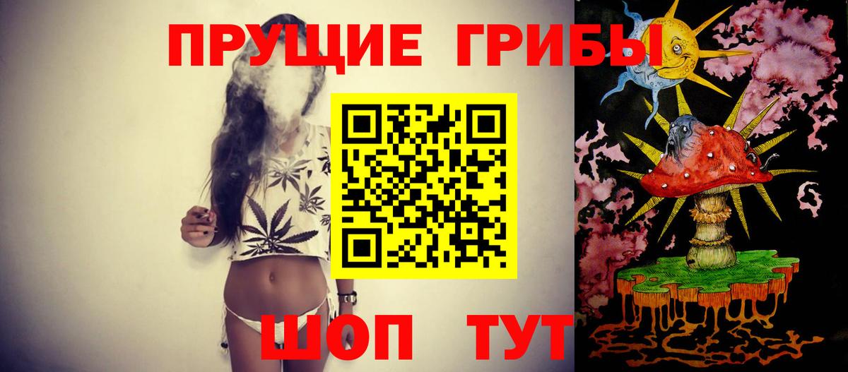 Галлюциногенные грибы Psilocybe  Вход с VPN  наркошоп  Кстово 
